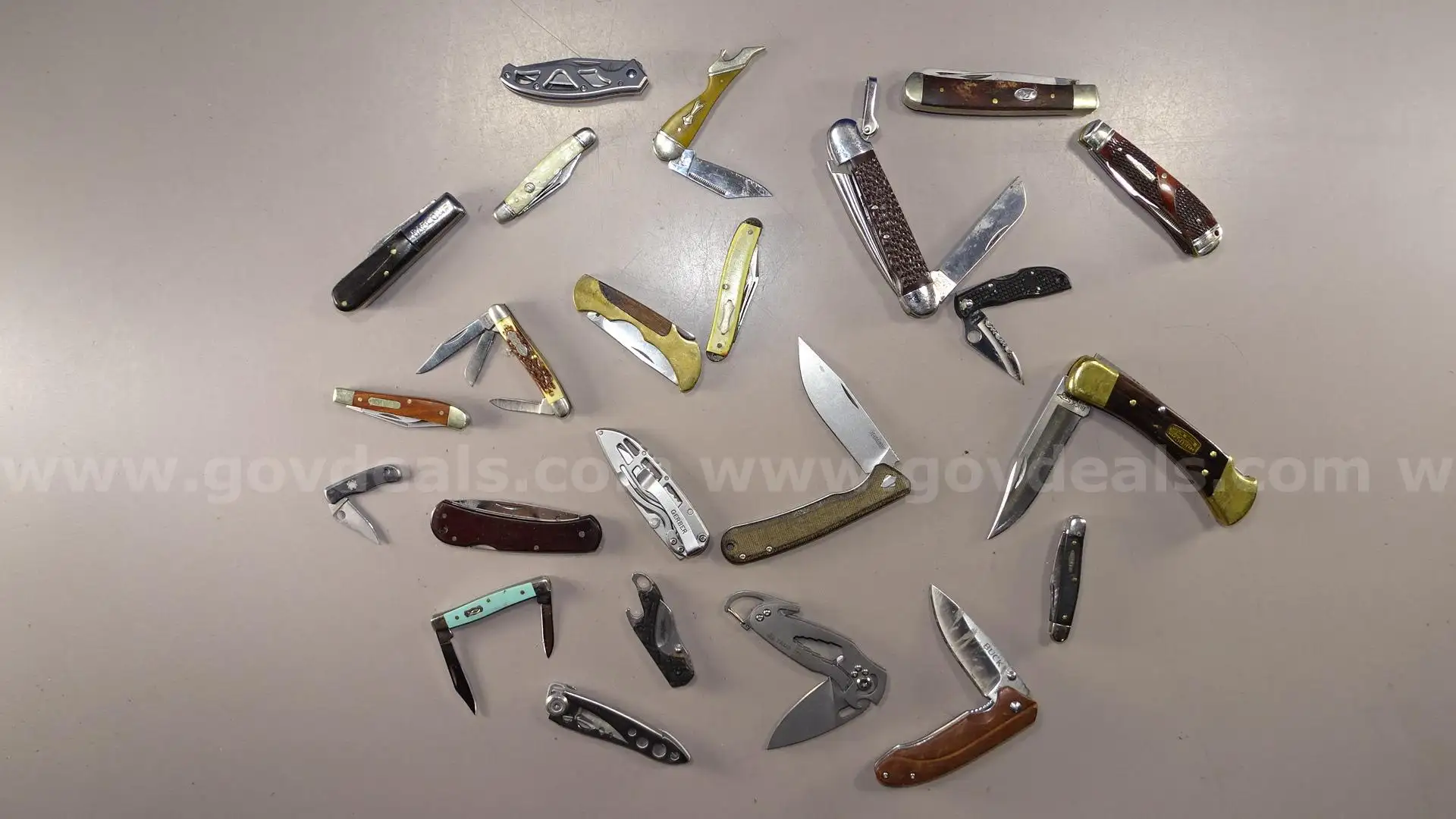 Knife Lot Spyderco Buck - Shipping Fee $13