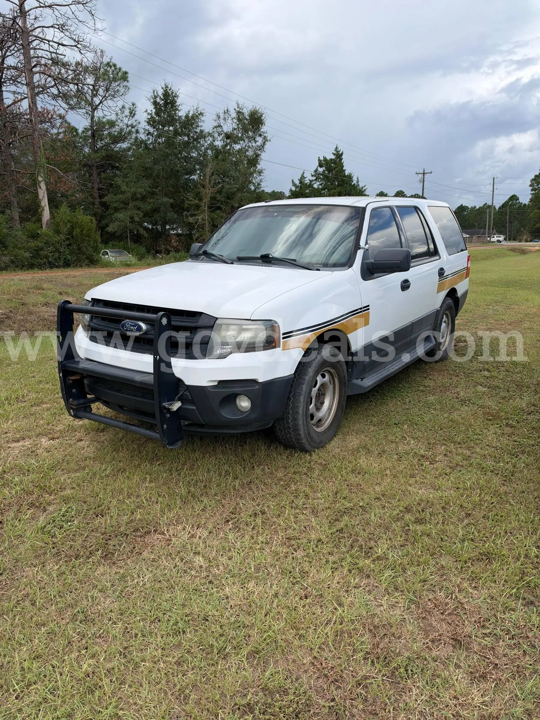 2016 Ford Expedition
