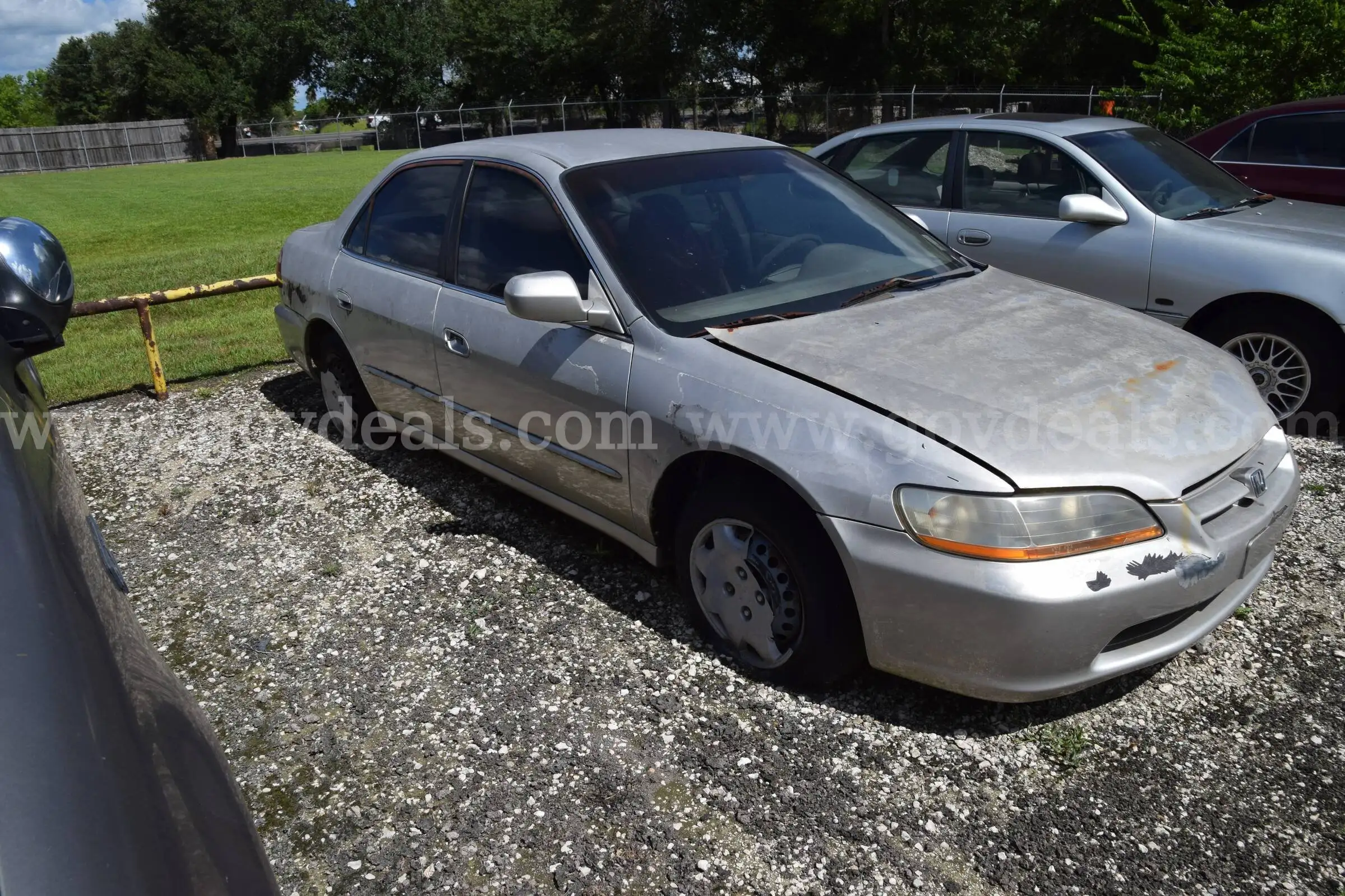 1999 Honda Accord