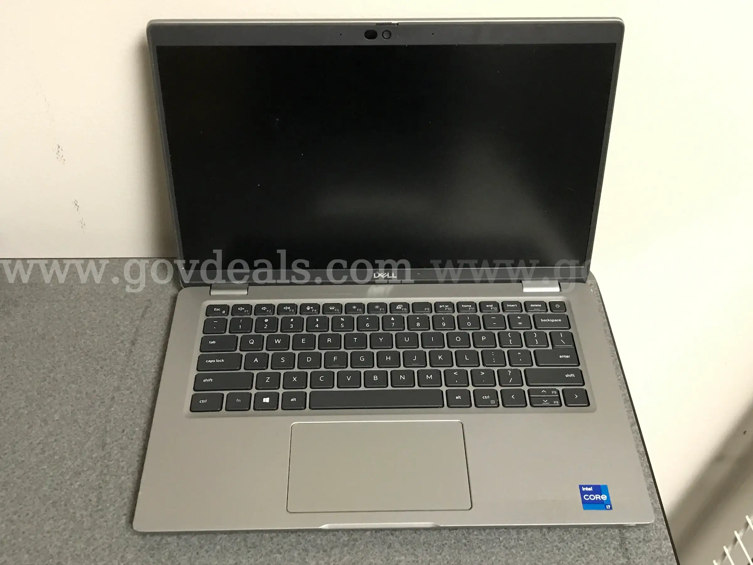 Dell Laptop **Screen Bleeding