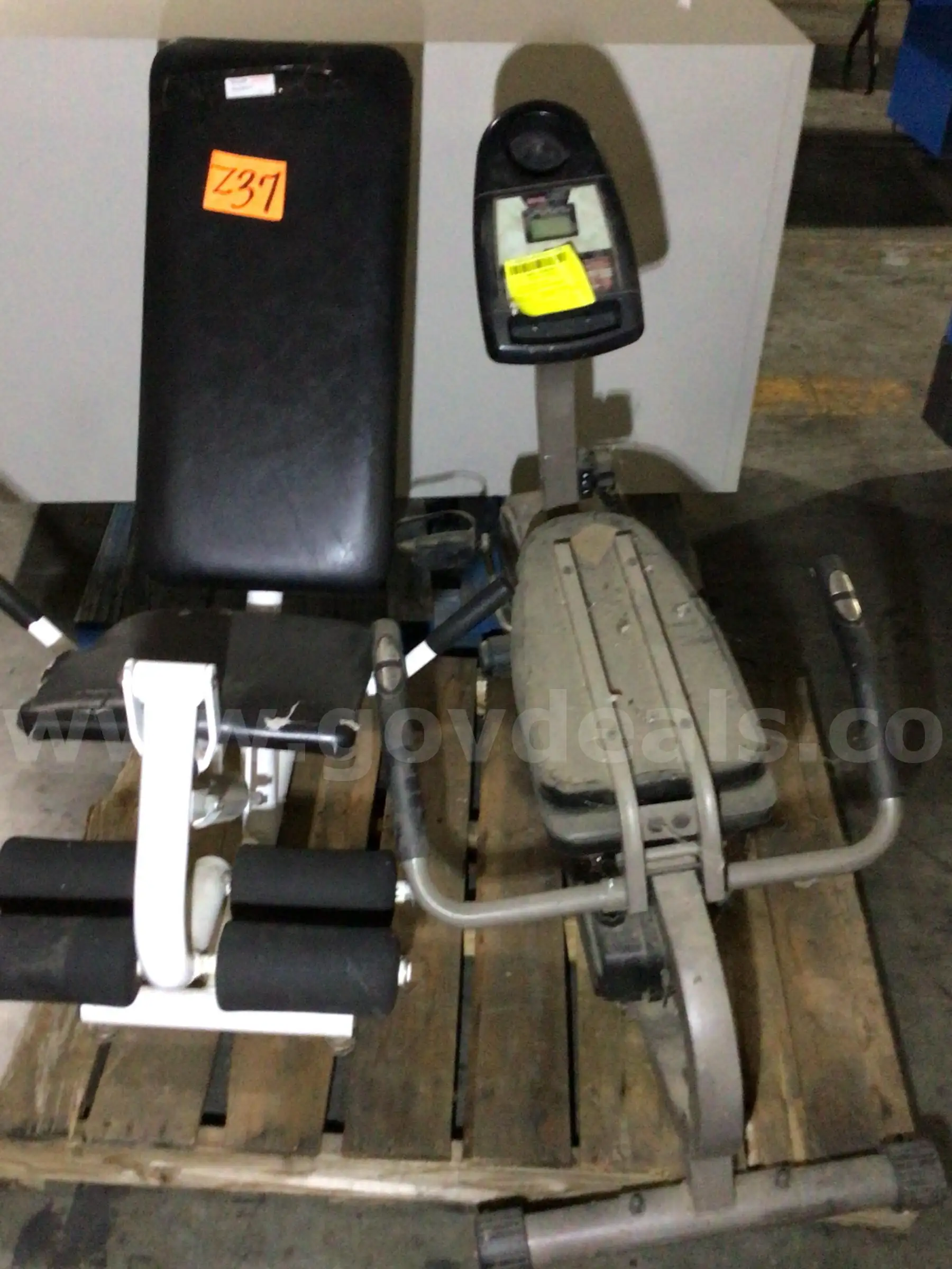 Exercise Equipment (2 pcs)