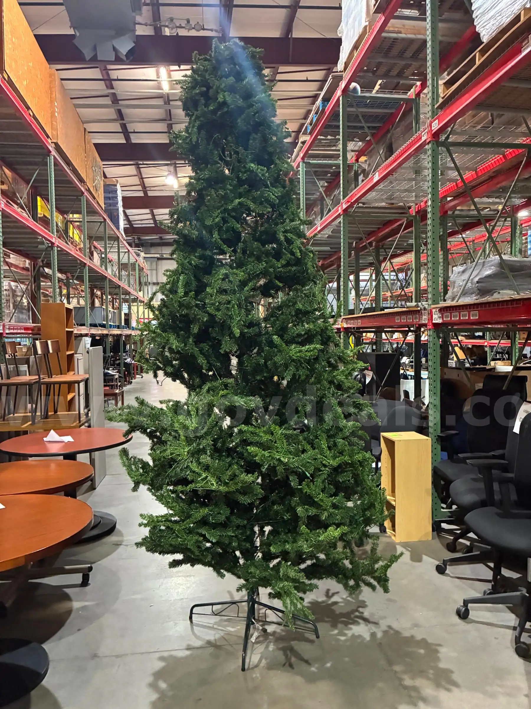 Christmas Tree