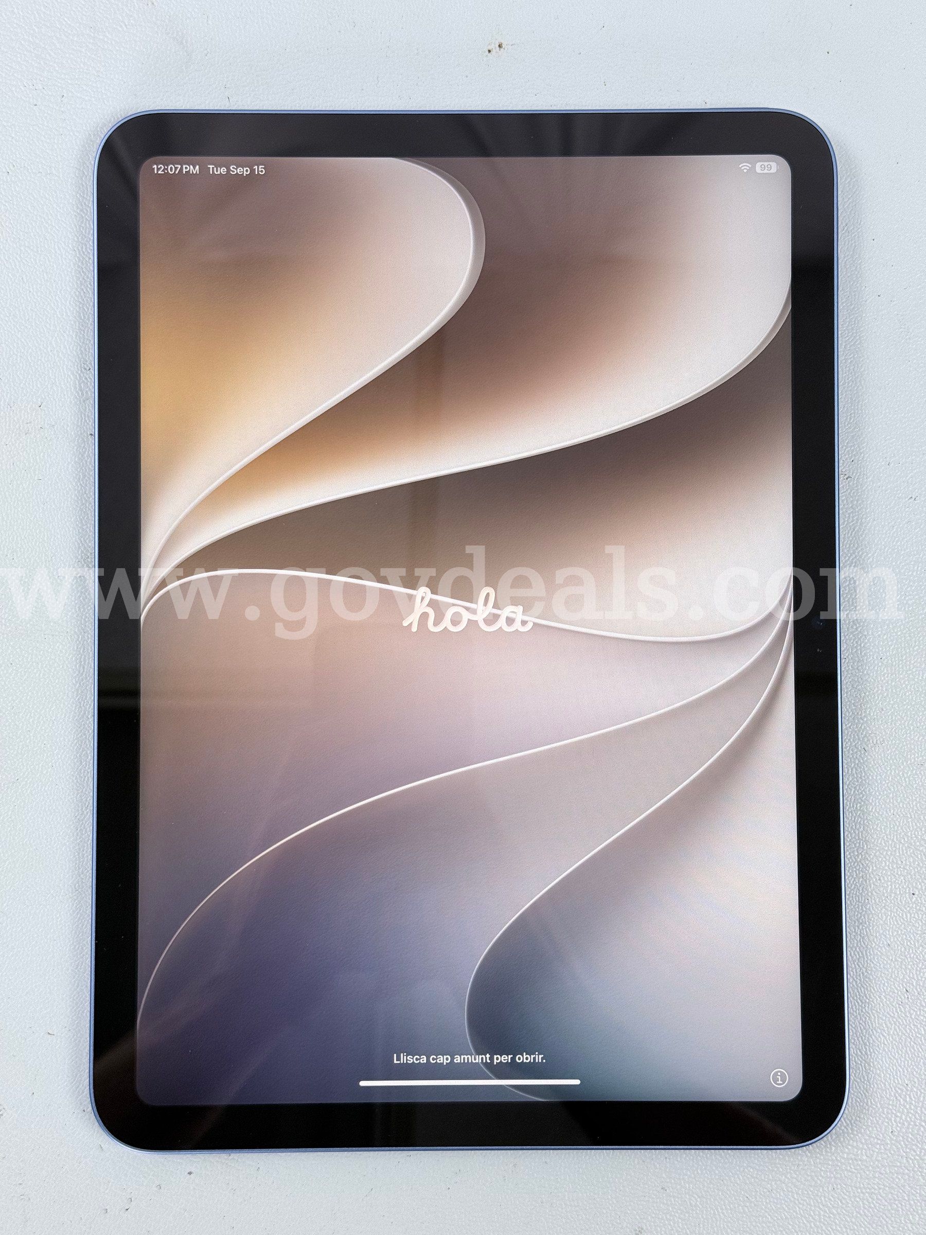 Apple 10.9 iPad (Unlocked) A2696 10th Gen (Powers On)