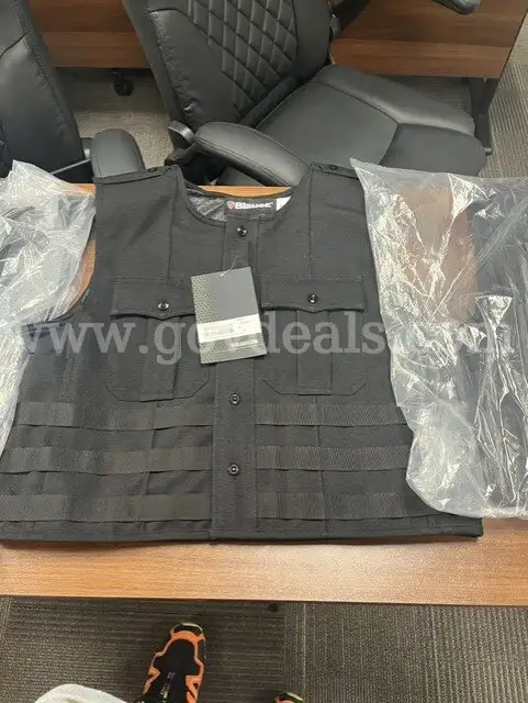 2025 Blauer Armor skin