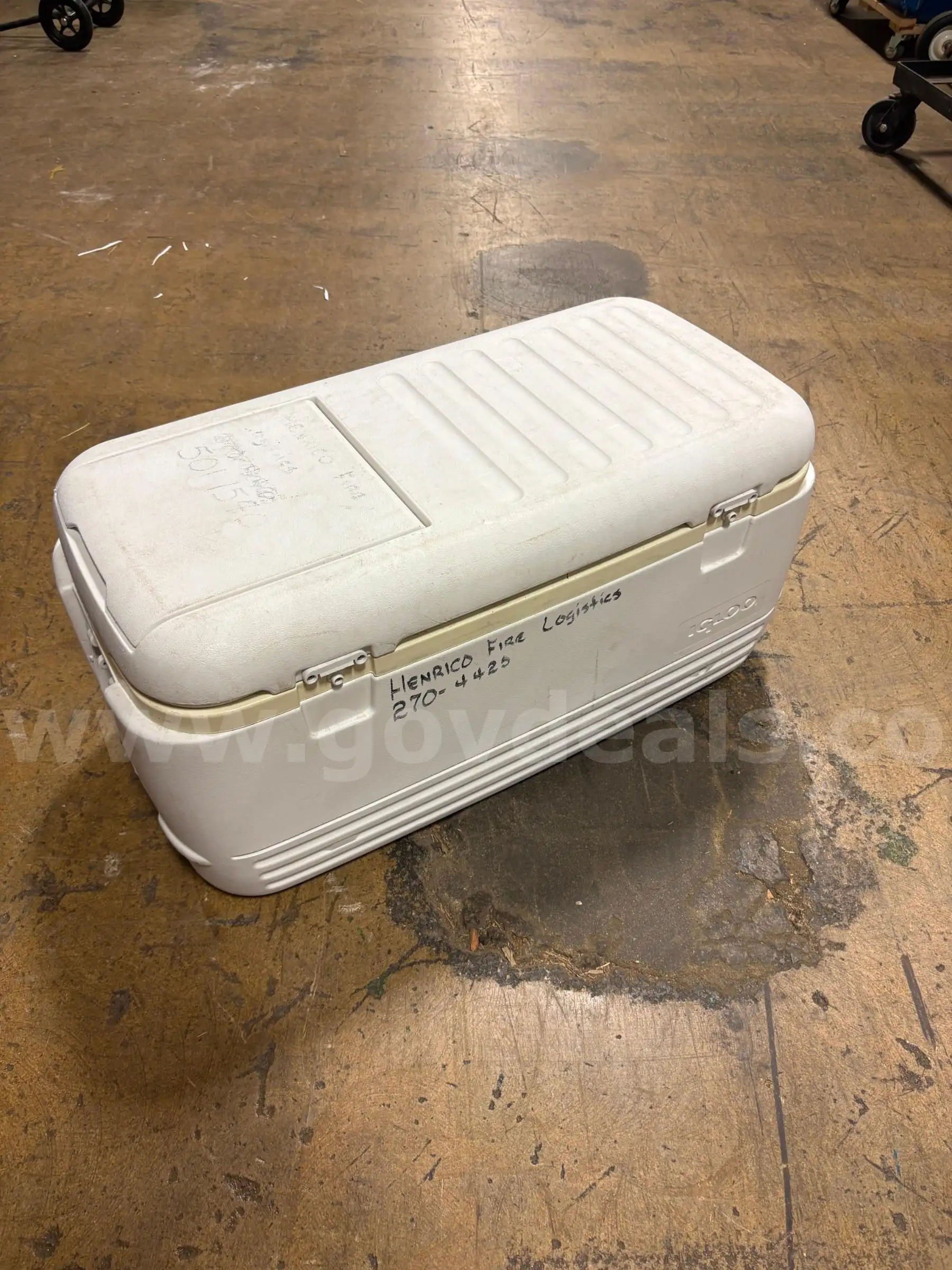 Igloo Cooler