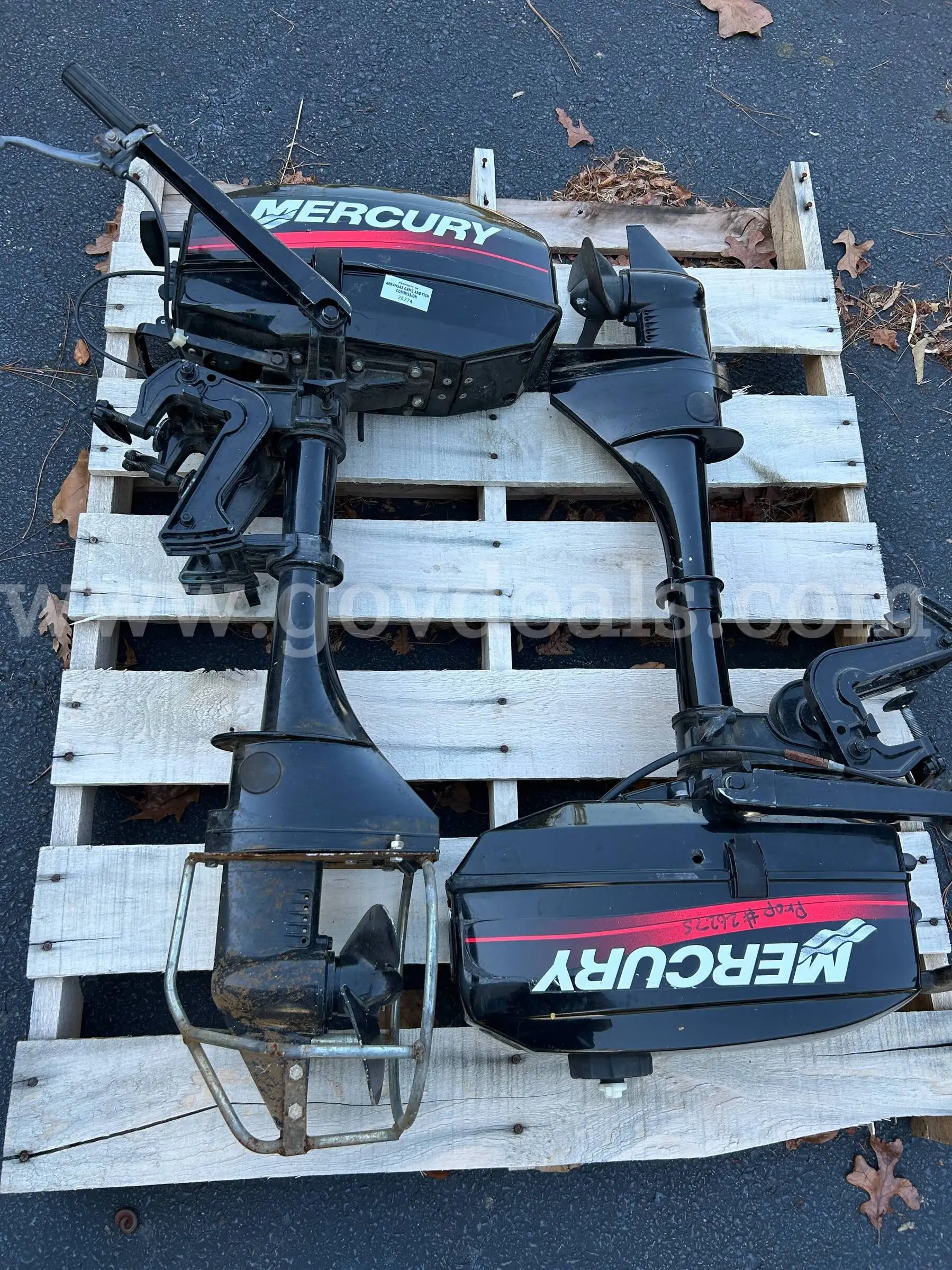 Mecury Outboard Motor
