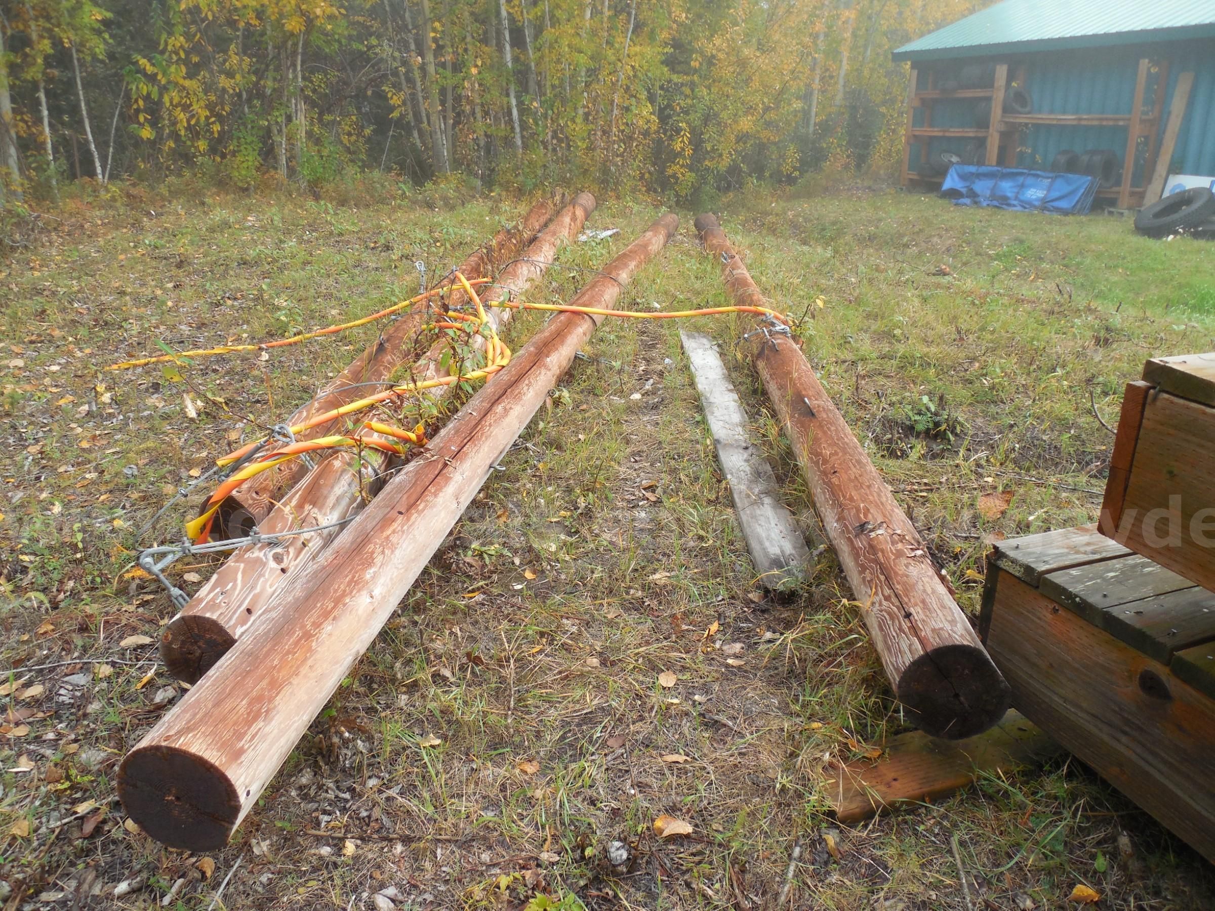 Four large wooden utility poles