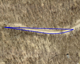 Otter Tail County Parcel #32-000-07-0053-010