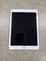 Apple iPad