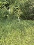 Wright County Tax Forfeiture Auction - #204-100-121404 Township of Clearwater