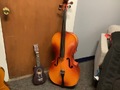 String instruments