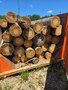 Wooden Power Poles Saltwater-treated