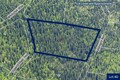Lot 40 West Chatanika Subdivision