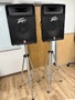 ATO 2 Peavy TLS5 Speakers with Adjustable Stands