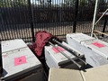 SADDLEBACK COLLEGE - LOT # 2 (MEDICAL - GENERAL)