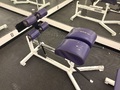 Crunch Bench / Back Extension Exercise Bench
