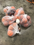 Bags of Balls