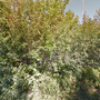 Tract 47: City of DULUTH Parcel 010-4250-00630 00640 00650 C22260091