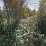 Tract 48: City of DULUTH Parcel 010-4250-00920 C22260092