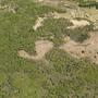 Tract 77: TOWN OF ALANGO Parcel 200-0010-02830 C22260117