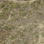 Tract 117: TOWN OF MORSE Parcel 465-0020-02080 C22260152