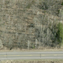Tract 120: TOWN OF NORMANNA Parcel 485-0010-05775 C22260155