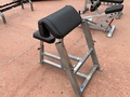 Flex Fitness Seated Preacher Curl