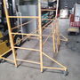 Werner Scaffold