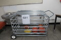 Rolling Ball Cage with Assorted Balls