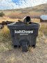 SaltDogg