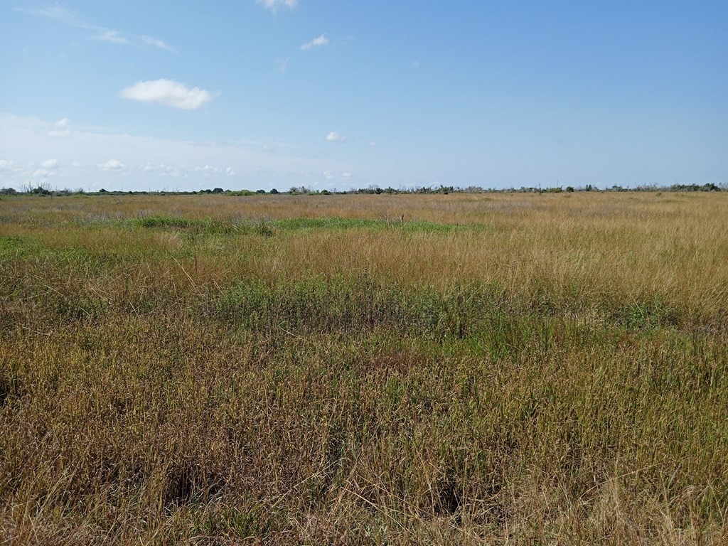 Foreclosure in Blessing, TX