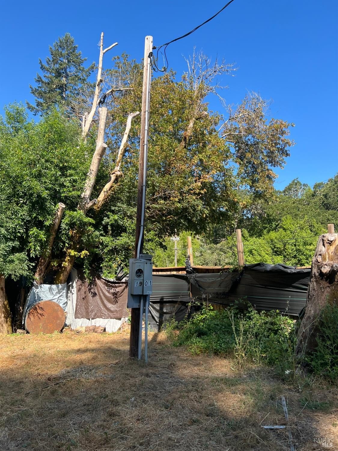 Foreclosure in Willits, CA