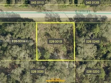 Foreclosure in Lehigh Acres, FL