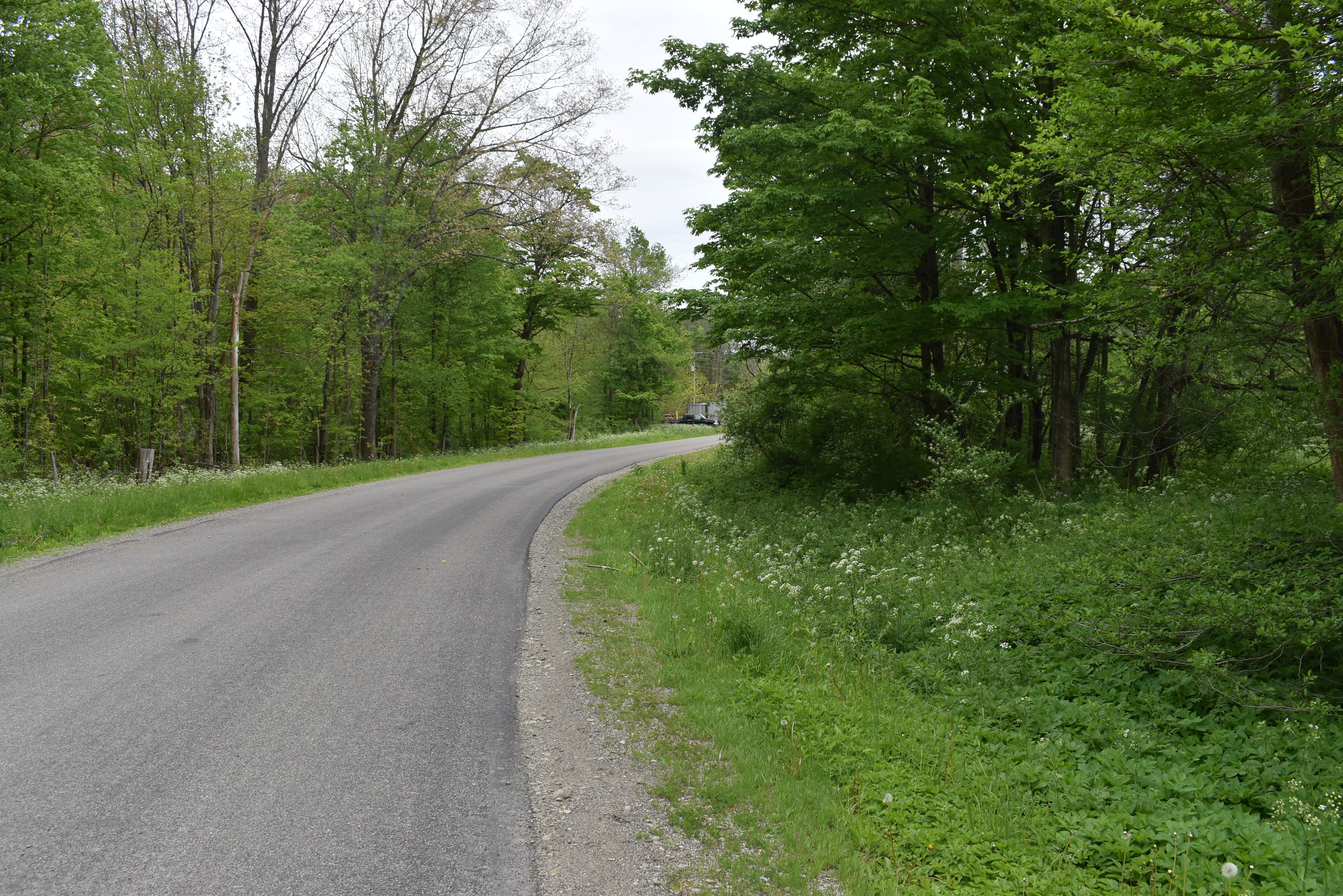 Foreclosure in Gerry, NY