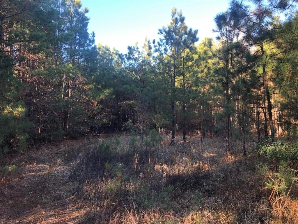 Foreclosure in Plain Dealing, LA