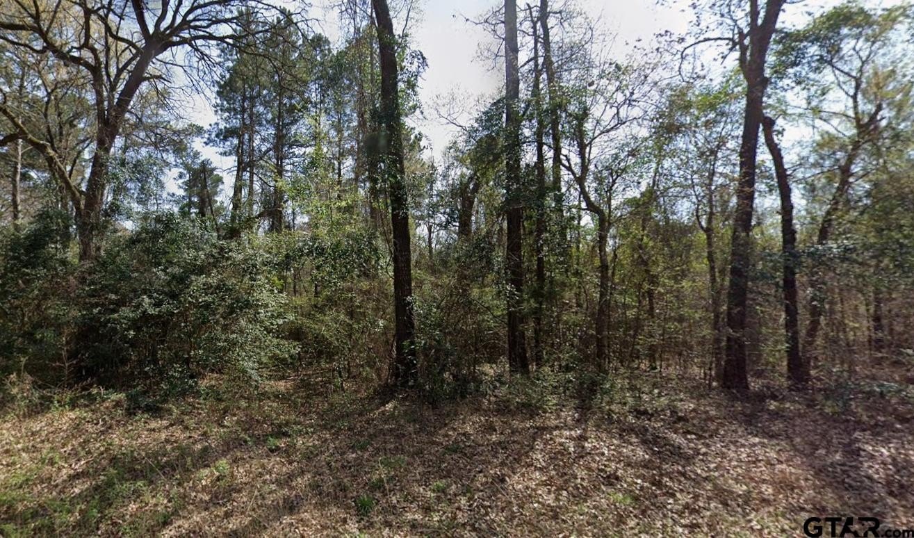 Foreclosure in Gilmer, TX