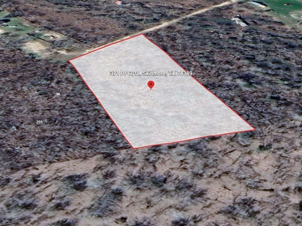 Foreclosure in Skidmore, TX