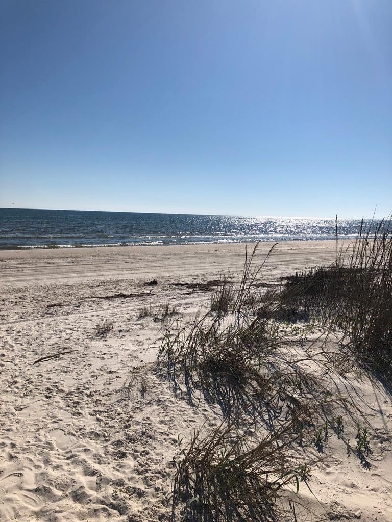 Foreclosure in Cape San Blas, FL