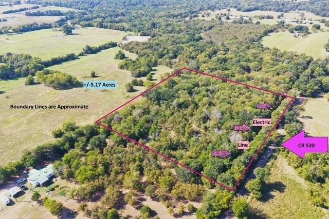 Foreclosure in Fairfield, TX