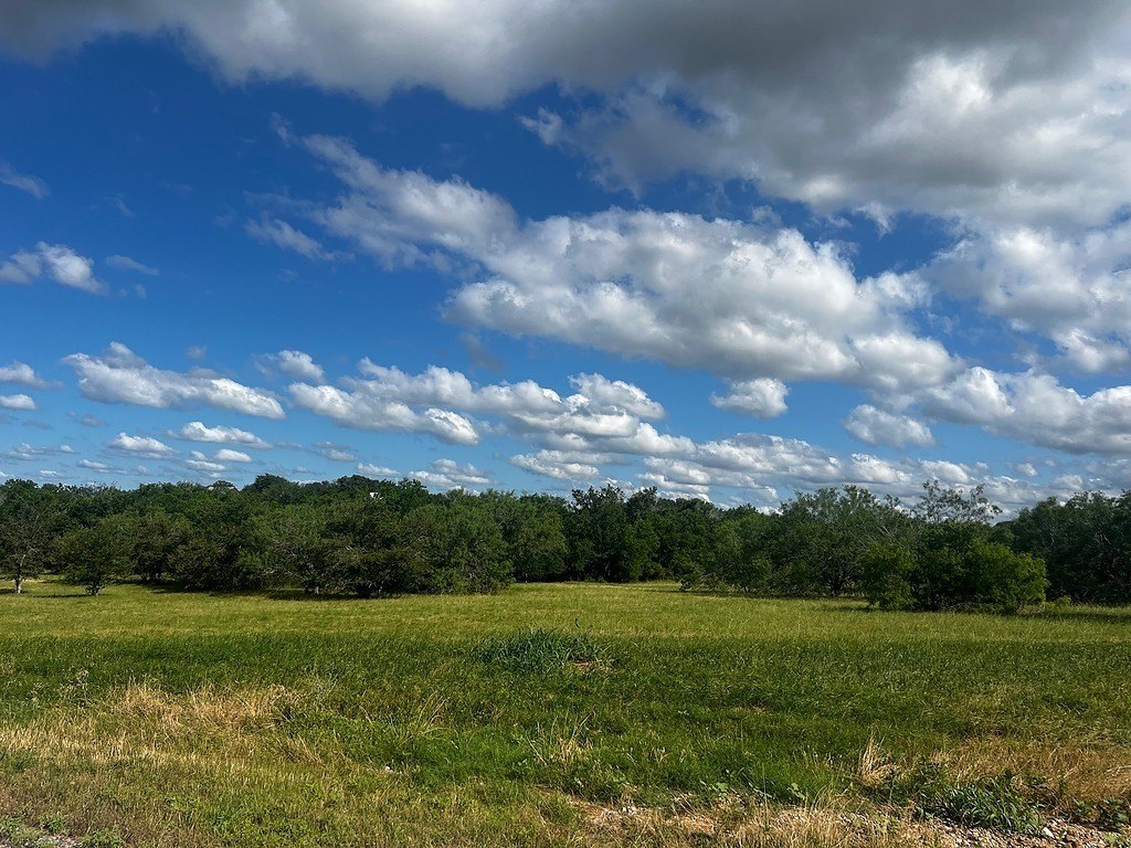 Foreclosure in Schulenburg, TX