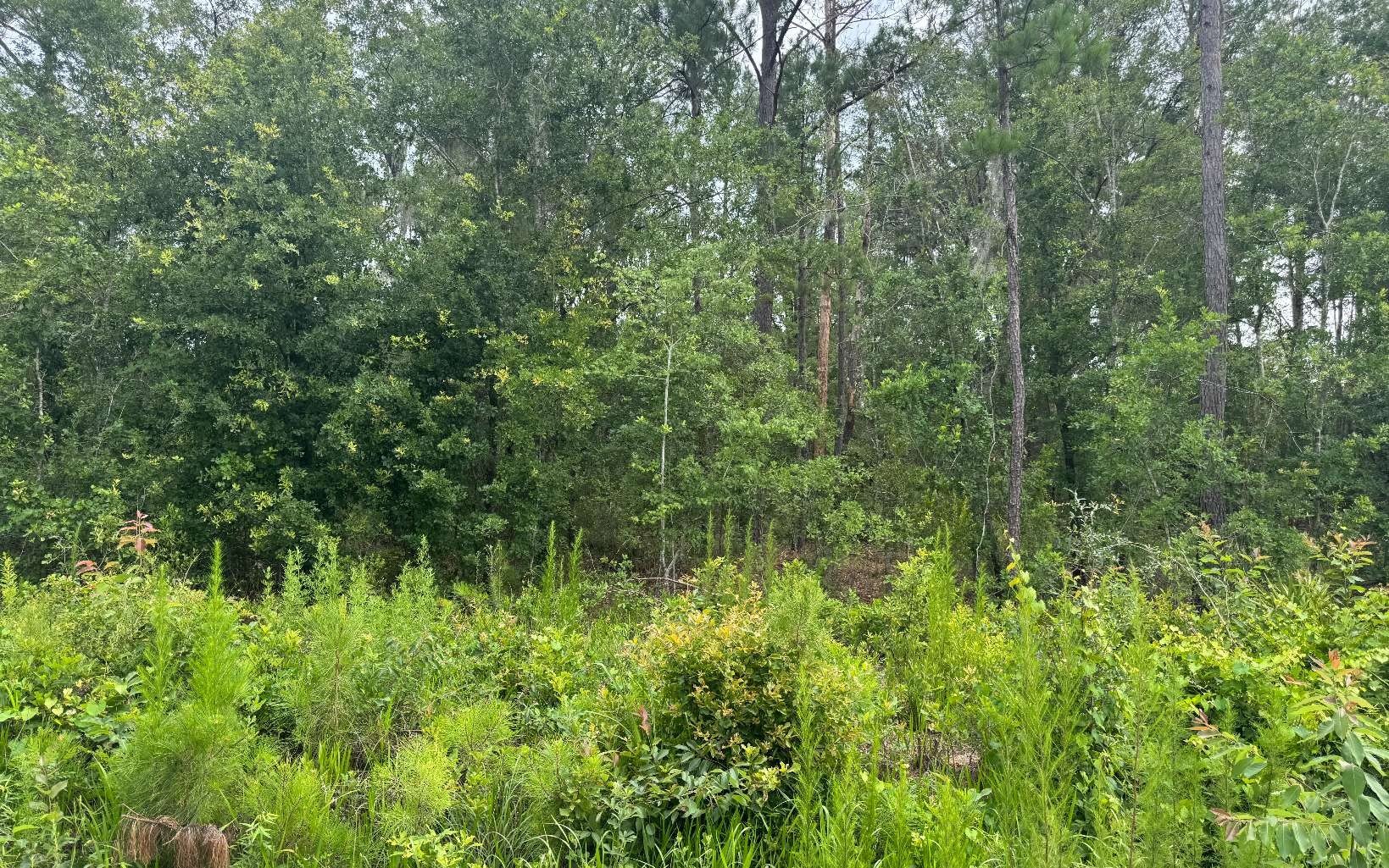 Foreclosure in Lake City, FL