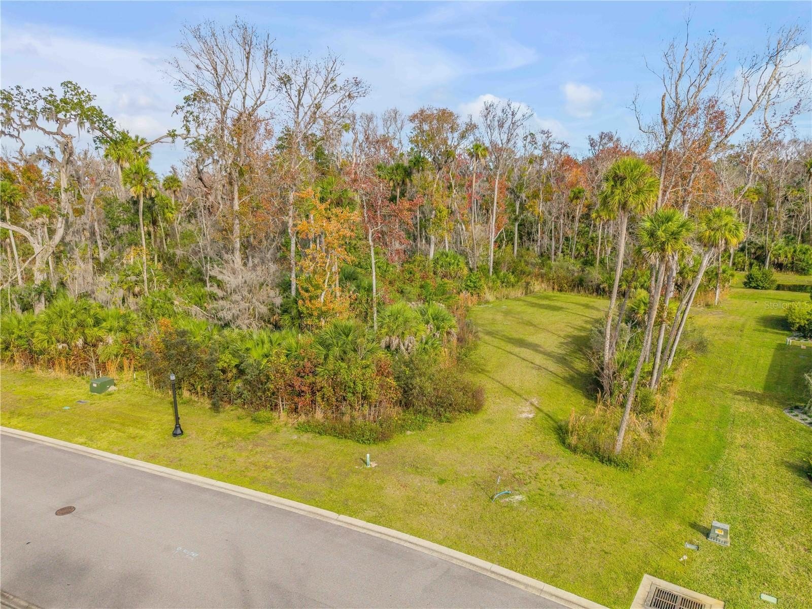 Foreclosure in NEW SMYRNA BEACH, FL