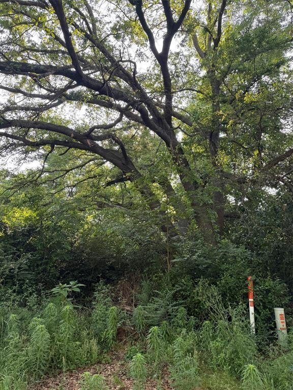 Foreclosure in Berryville, TX