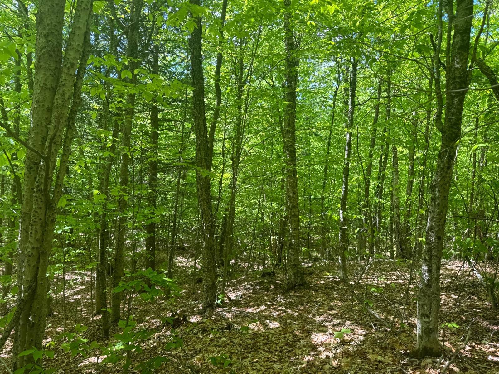 Foreclosure in Chester, NY