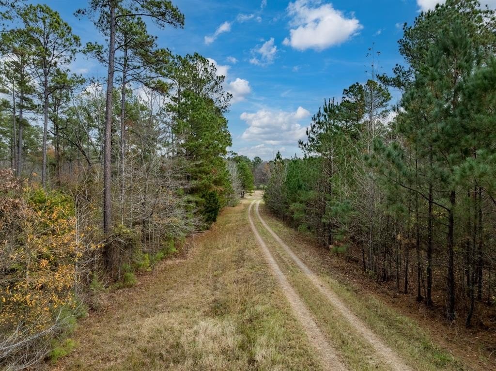 Foreclosure in Waskom, TX