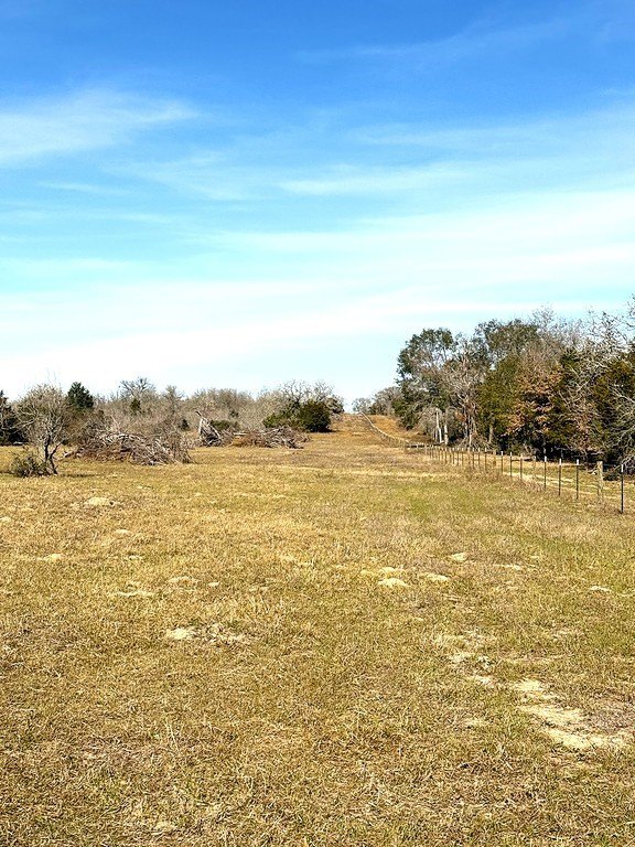 Foreclosure in Lexington, TX