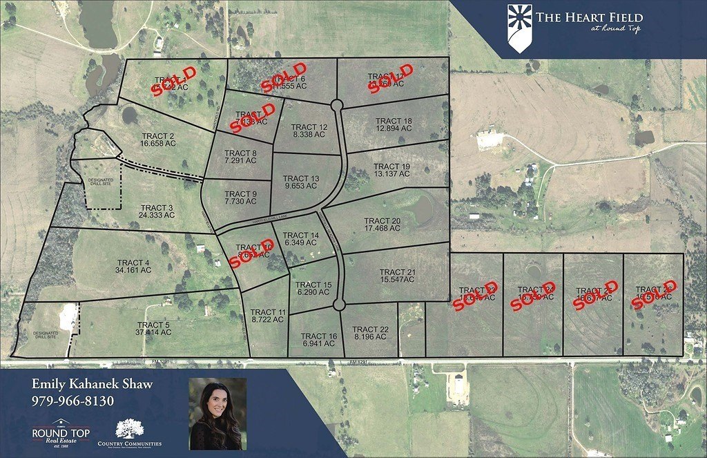 Foreclosure in Round Top, TX
